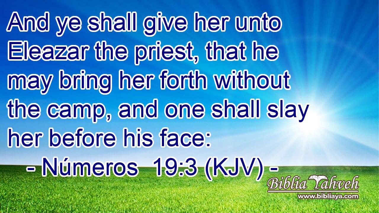 And ye shall give her unto Eleazar the priest, that he may bring her forth without the camp, and one shall slay her before his face: