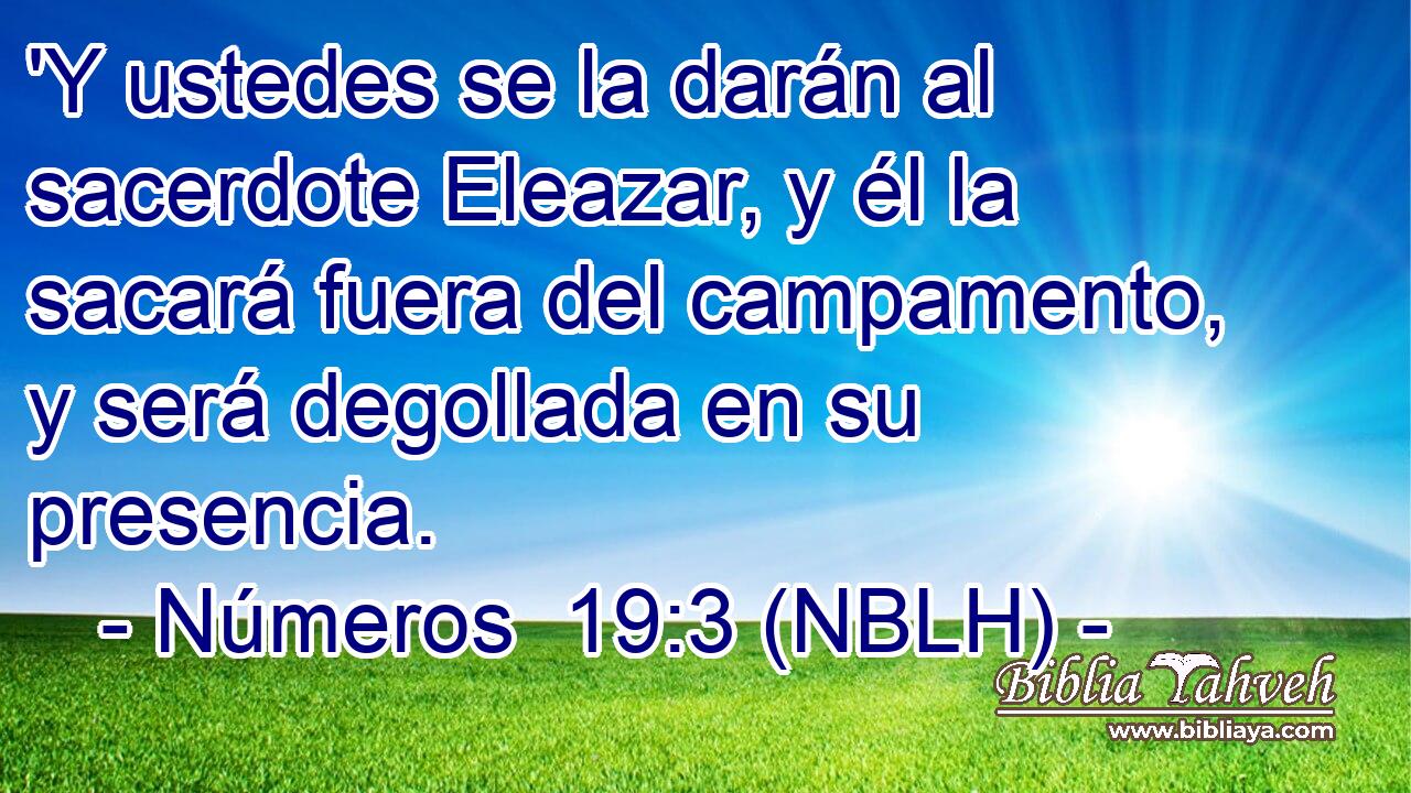  'Y ustedes se la darán al sacerdote Eleazar, y él la sacará fuera del campamento, y será degollada en su presencia. 