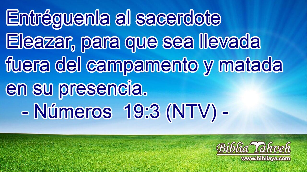 Entréguenla al sacerdote Eleazar, para que sea llevada fuera del campamento y matada en su presencia.