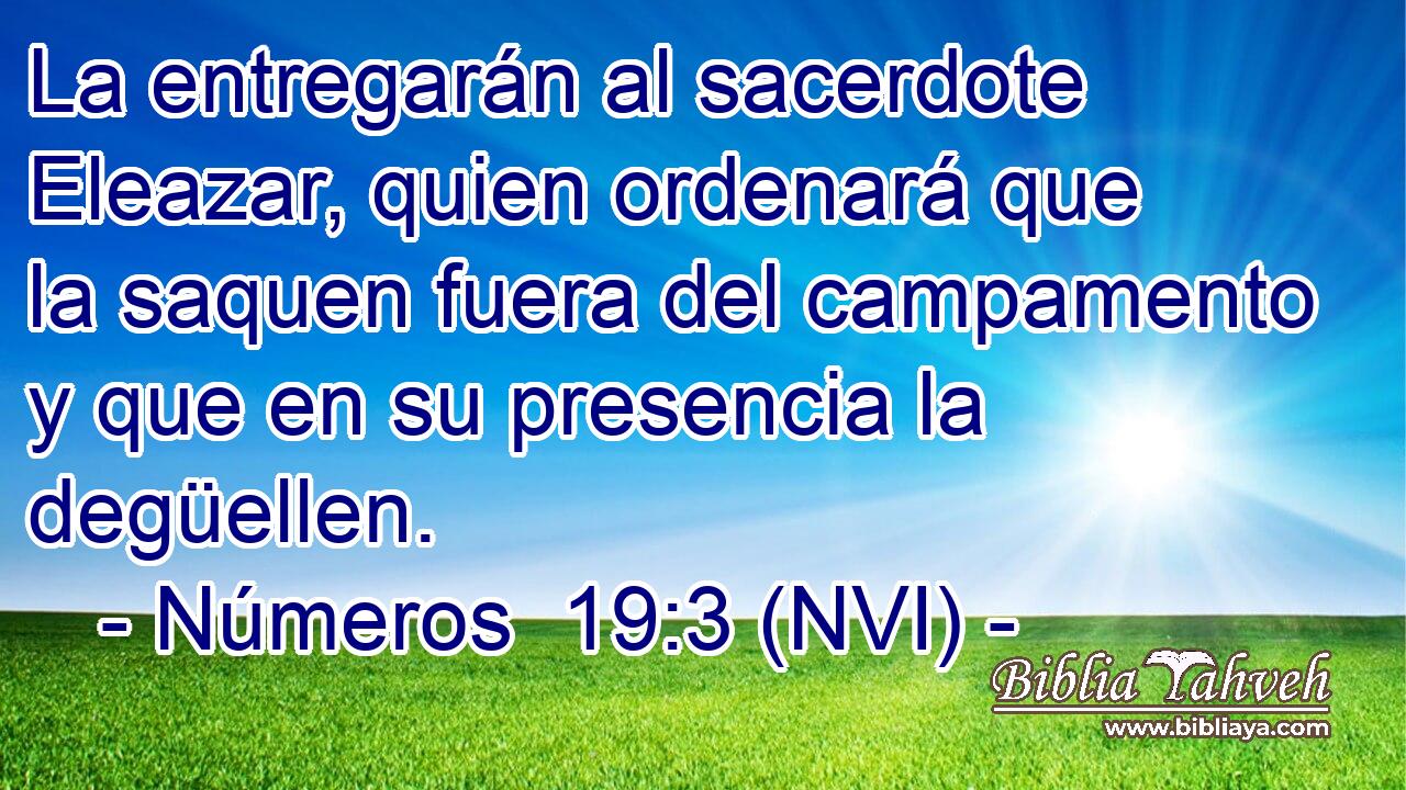  La entregarán al sacerdote Eleazar, quien ordenará que la saquen fuera del campamento y que en su presencia la degüellen. 