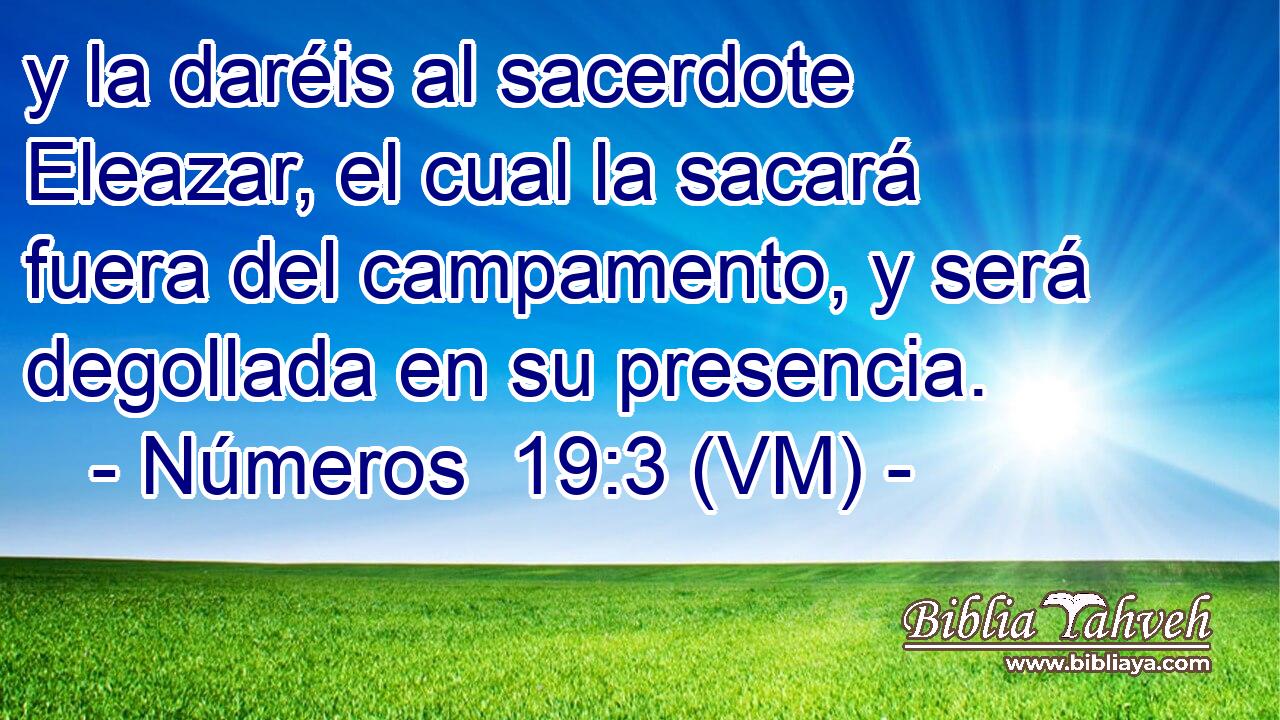  y la daréis al sacerdote Eleazar, el cual la sacará fuera del campamento, y será degollada en su presencia. 