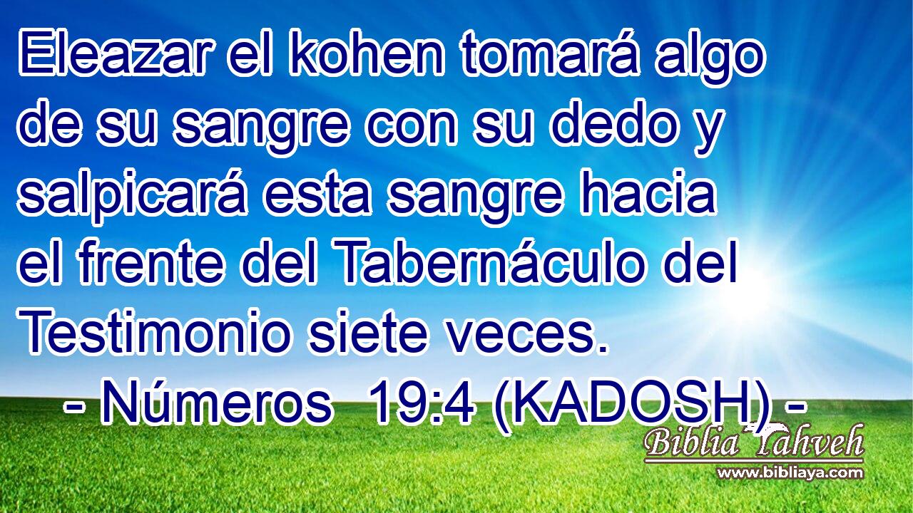  Eleazar el kohen tomará algo de su sangre con su dedo y salpicará esta sangre hacia el frente del Tabernáculo del Testimonio siete veces. 