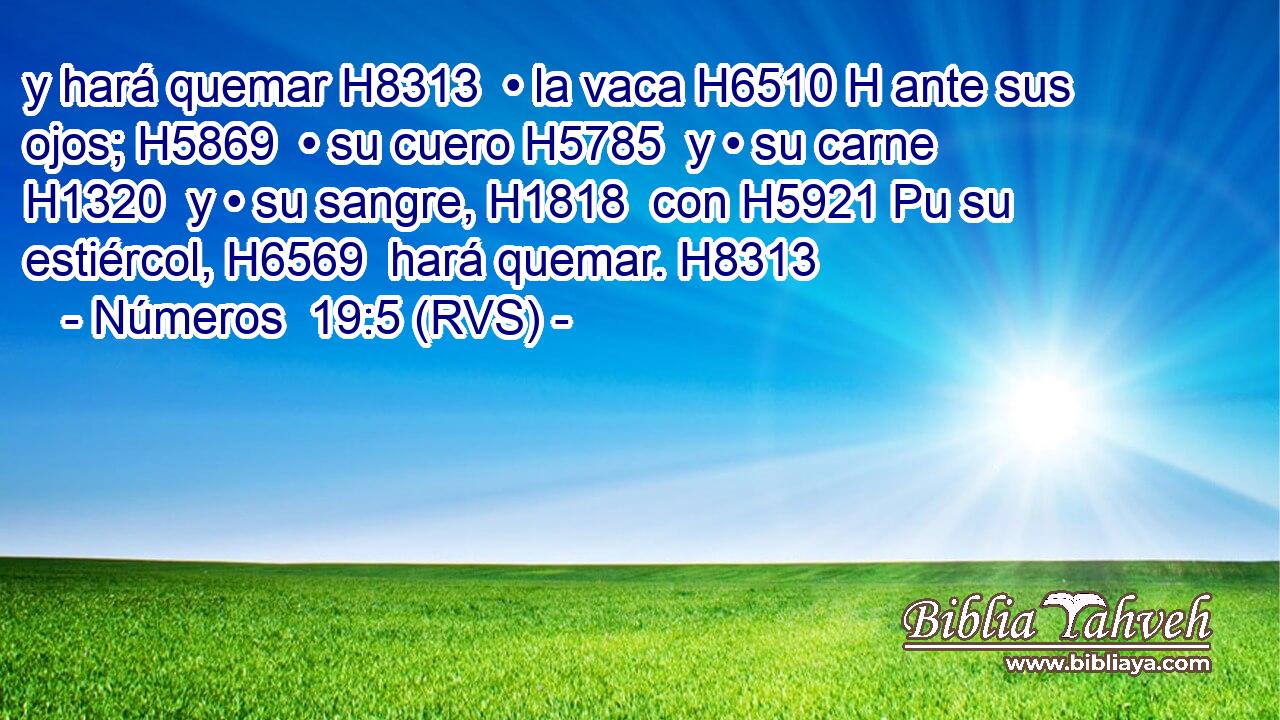 y hará quemar H8313  • la vaca H6510 H ante sus ojos; H5869  • su cuero H5785  y • su carne H1320  y • su sangre, H1818  con H5921 Pu su estiércol, H6569  hará quemar. H8313  