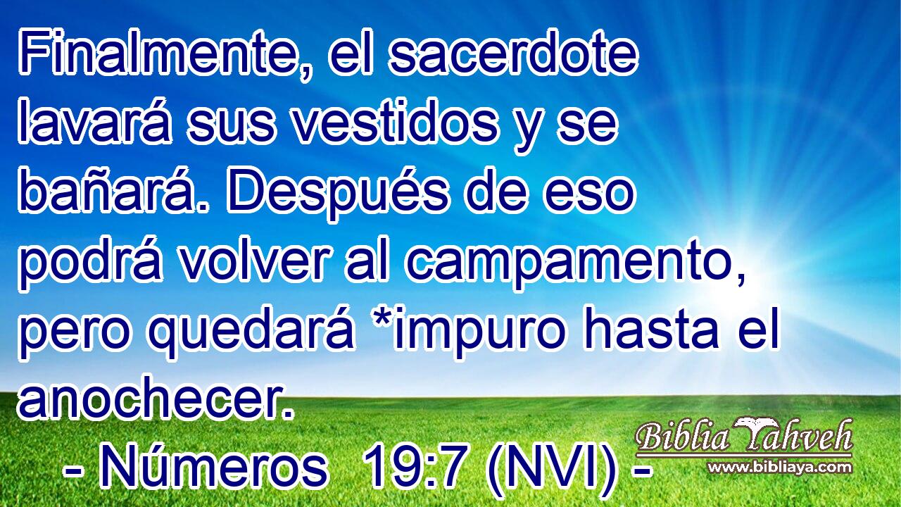  Finalmente, el sacerdote lavará sus vestidos y se bañará. Después de eso podrá volver al campamento, pero quedará *impuro hasta el anochecer. 
