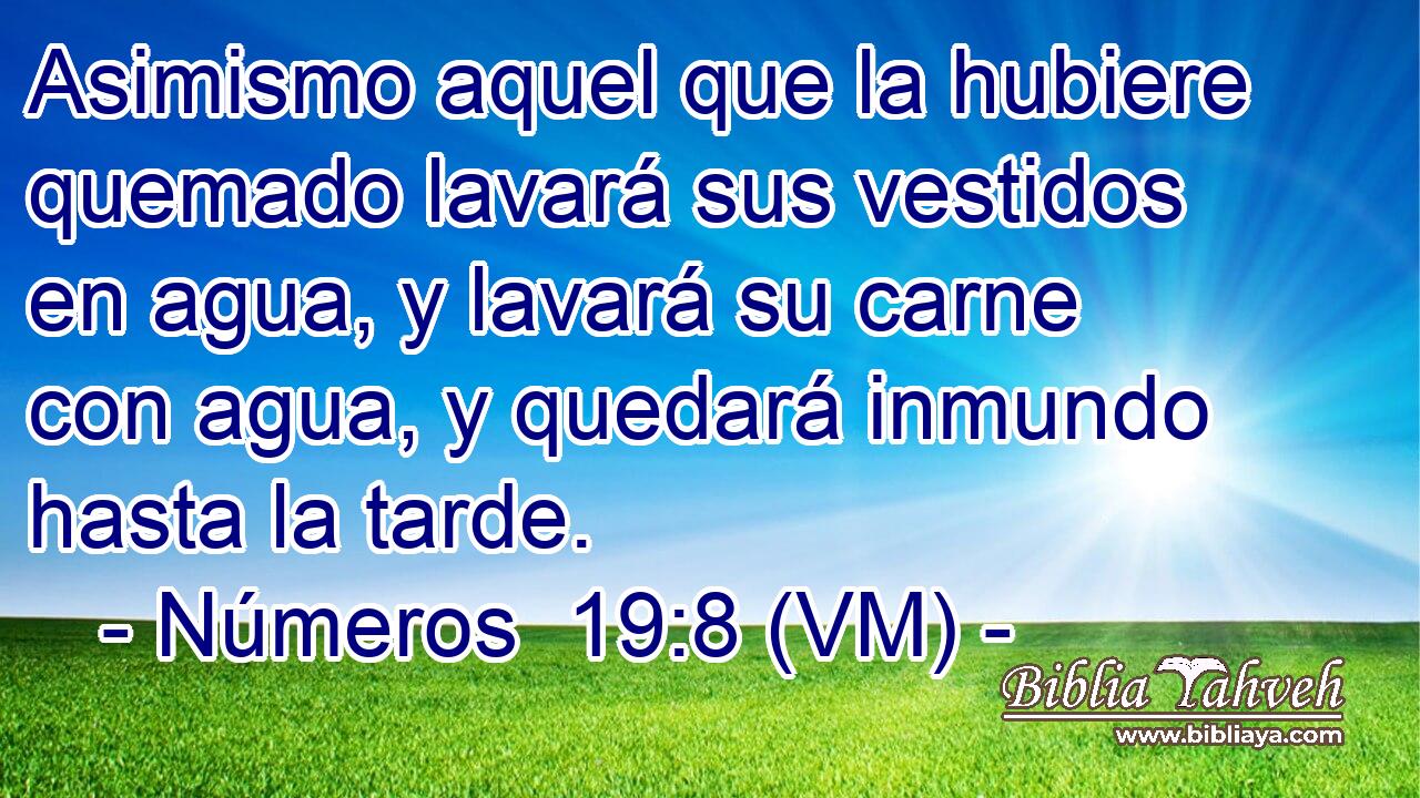  Asimismo aquel que la hubiere quemado lavará sus vestidos en agua, y lavará su carne con agua, y quedará inmundo hasta la tarde. 