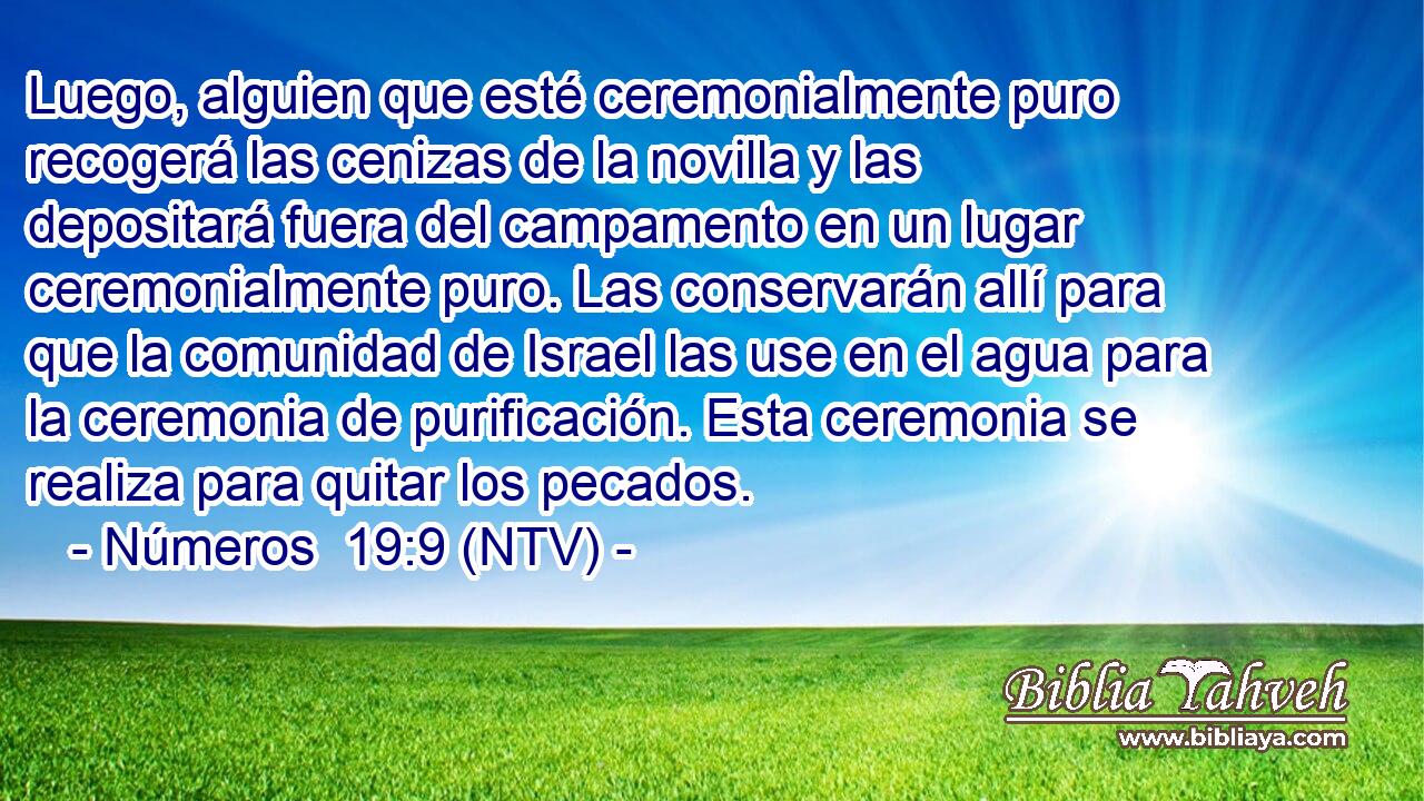 Luego, alguien que esté ceremonialmente puro recogerá las cenizas de la novilla y las depositará fuera del campamento en un lugar ceremonialmente puro. Las conservarán allí para que la comunidad de Israel las use en el agua para la ceremonia de purificación. Esta ceremonia se realiza para quitar los pecados.