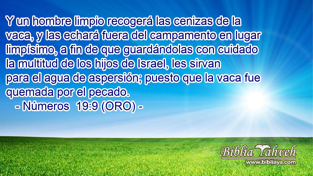  Y un hombre limpio recogerá las cenizas de la vaca, y las echará fuera del campamento en lugar limpísimo, a fin de que guardándolas con cuidado la multitud de los hijos de Israel, les sirvan para el agua de aspersión; puesto que la vaca fue quemada por el pecado. 