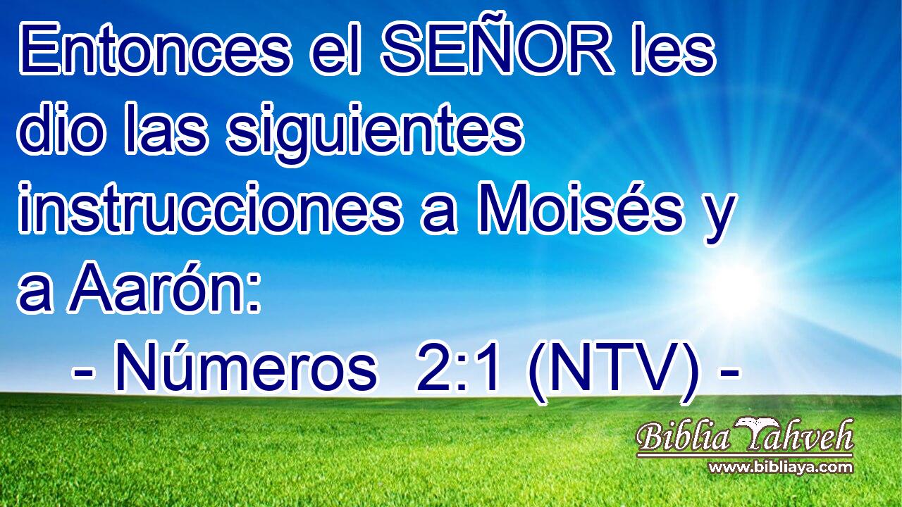 Entonces el SEÑOR les dio las siguientes instrucciones a Moisés y a Aarón: