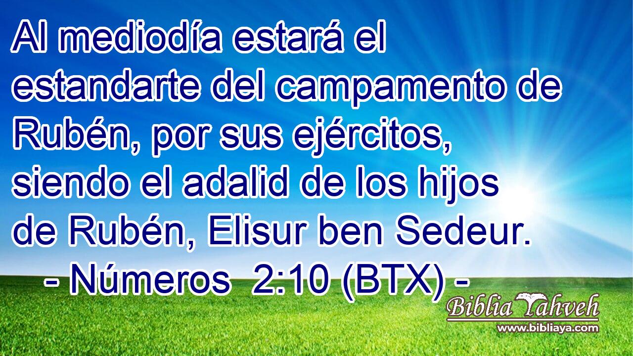 Al mediodía estará el estandarte del campamento de Rubén, por sus ejércitos, siendo el adalid de los hijos de Rubén, Elisur ben Sedeur.