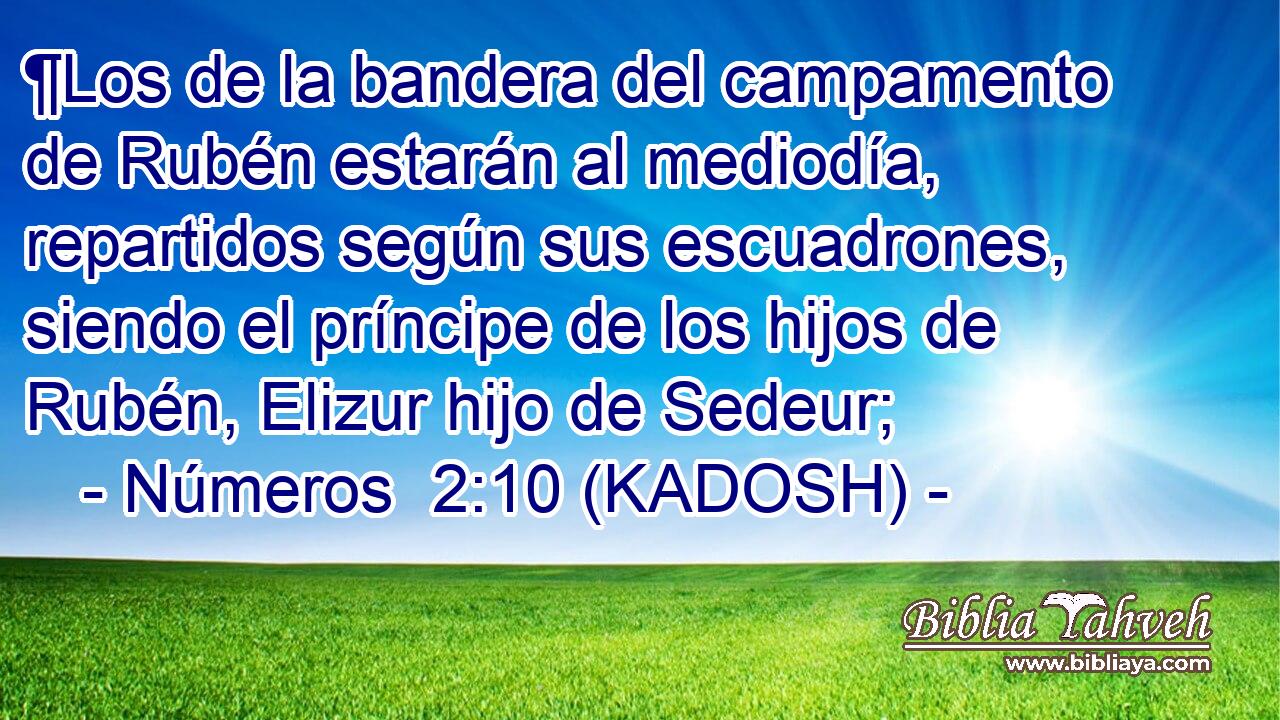  ¶Los de la bandera del campamento de Rubén estarán al mediodía, repartidos según sus escuadrones, siendo el príncipe de los hijos de Rubén, Elizur hijo de Sedeur;