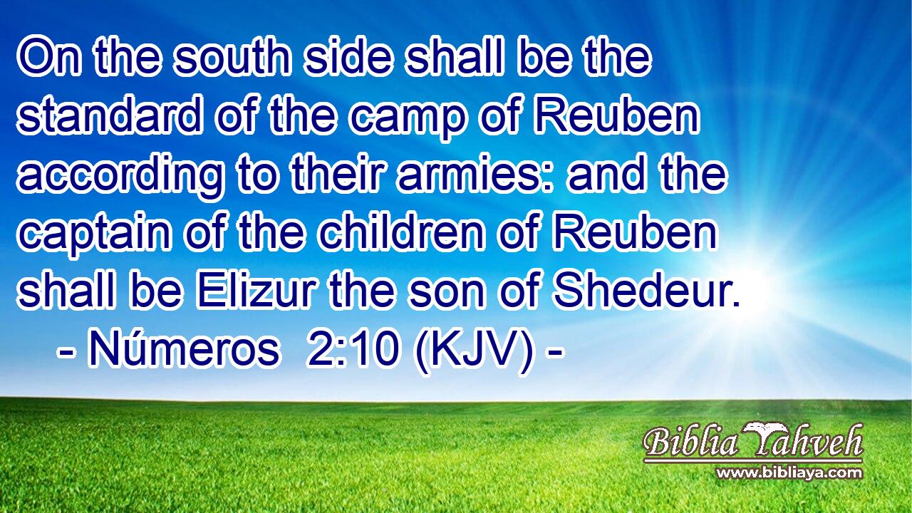 On the south side shall be the standard of the camp of Reuben according to their armies: and the captain of the children of Reuben shall be Elizur the son of Shedeur.