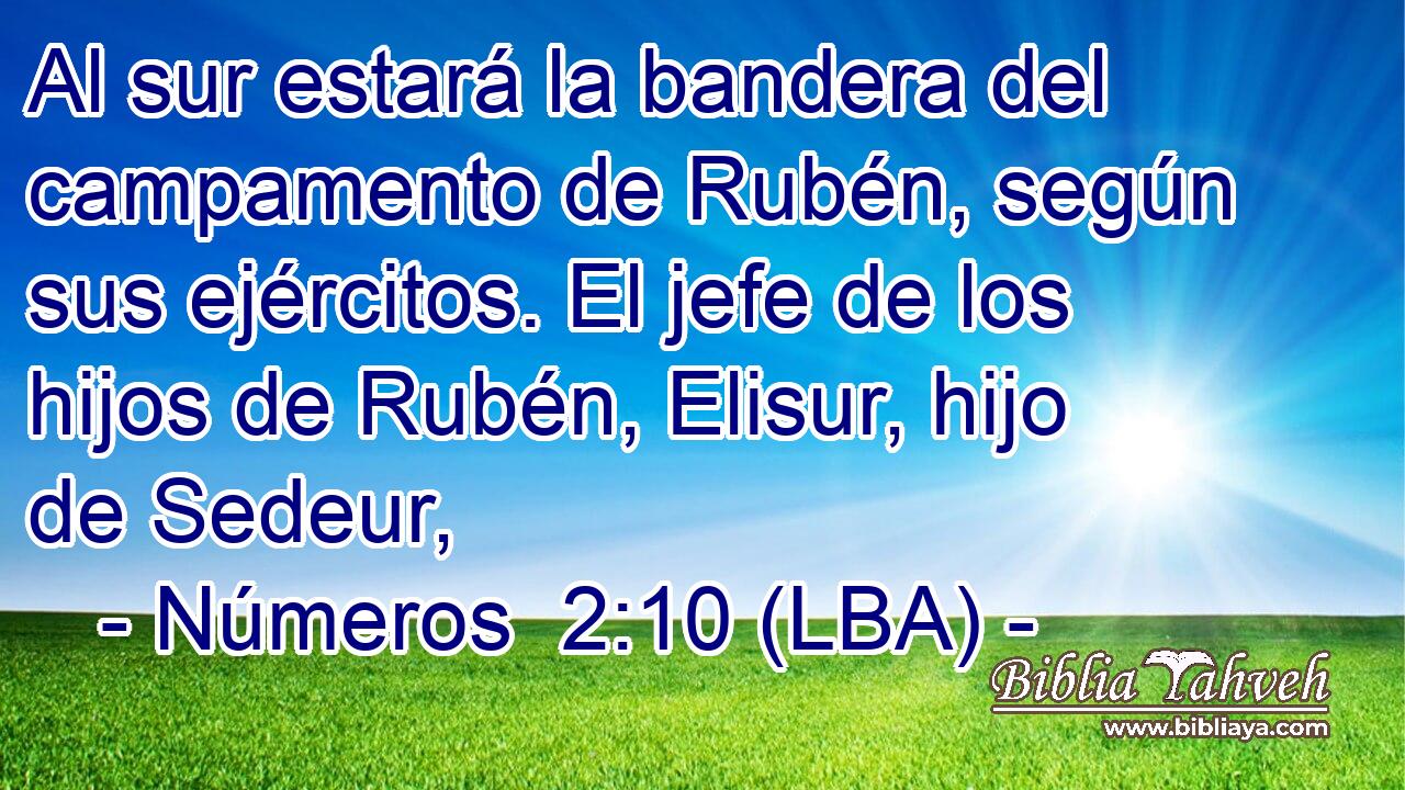 Al sur estará la bandera del campamento de Rubén, según sus ejércitos. El jefe de los hijos de Rubén, Elisur, hijo de Sedeur,
