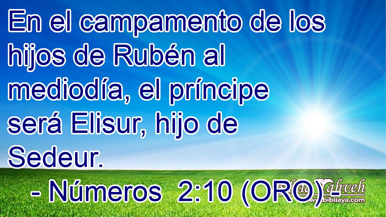  En el campamento de los hijos de Rubén al mediodía, el príncipe será Elisur, hijo de Sedeur. 