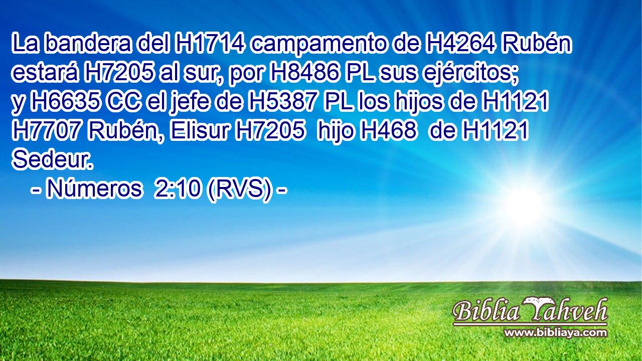La bandera del H1714 campamento de H4264 Rubén estará H7205 al sur, por H8486 PL sus ejércitos; y H6635 CC el jefe de H5387 PL los hijos de H1121 H7707 Rubén, Elisur H7205  hijo H468  de H1121 Sedeur. 