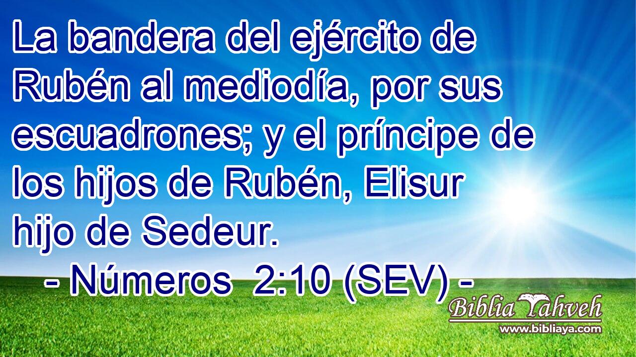 La bandera del ejército de Rubén al mediodía, por sus escuadrones; y el príncipe de los hijos de Rubén, Elisur hijo de Sedeur.