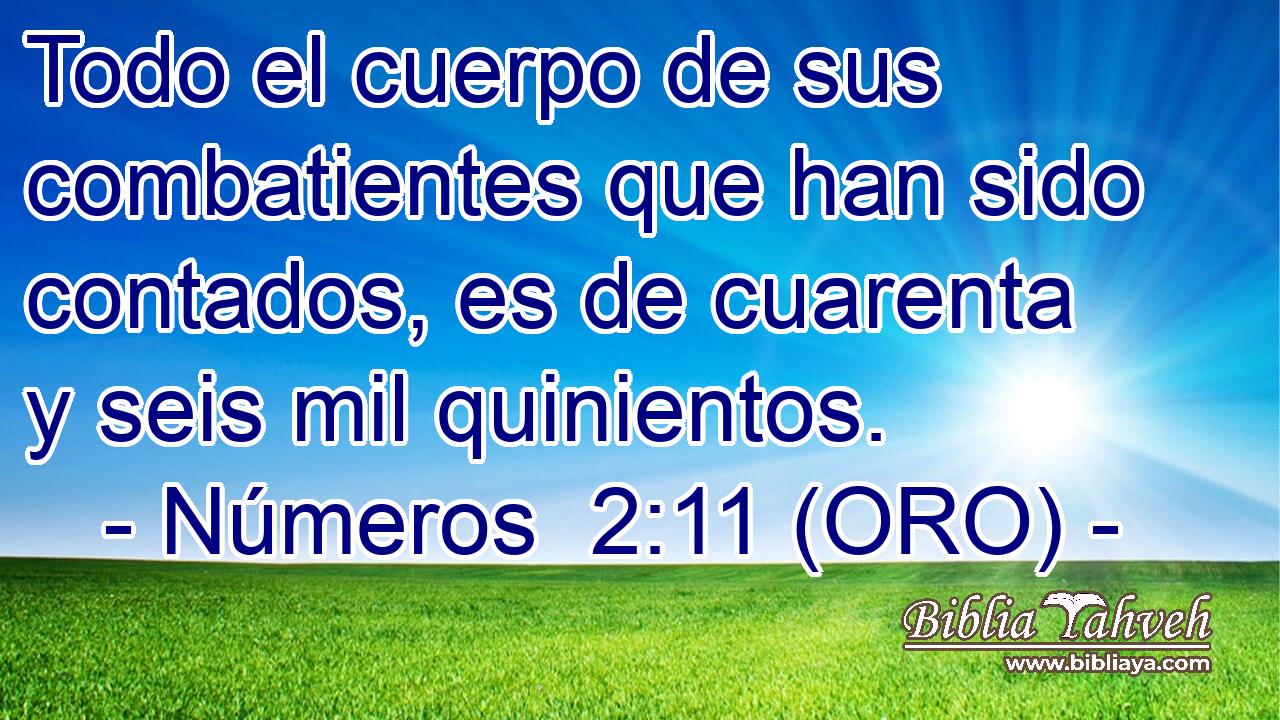  Todo el cuerpo de sus combatientes que han sido contados, es de cuarenta y seis mil quinientos. 