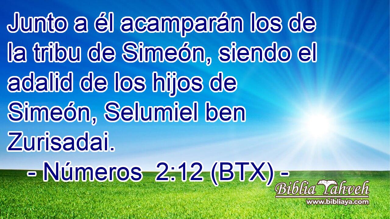 Junto a él acamparán los de la tribu de Simeón, siendo el adalid de los hijos de Simeón, Selumiel ben Zurisadai.