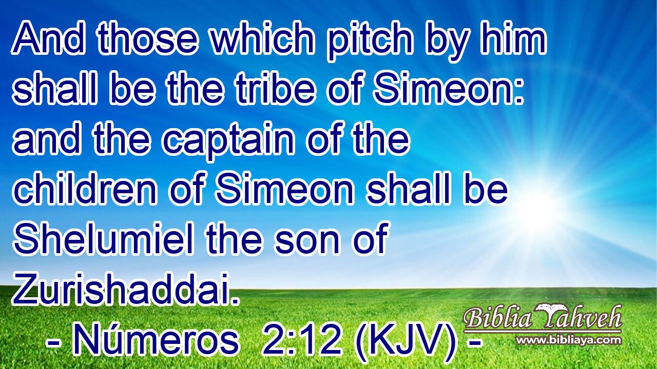 And those which pitch by him shall be the tribe of Simeon: and the captain of the children of Simeon shall be Shelumiel the son of Zurishaddai.