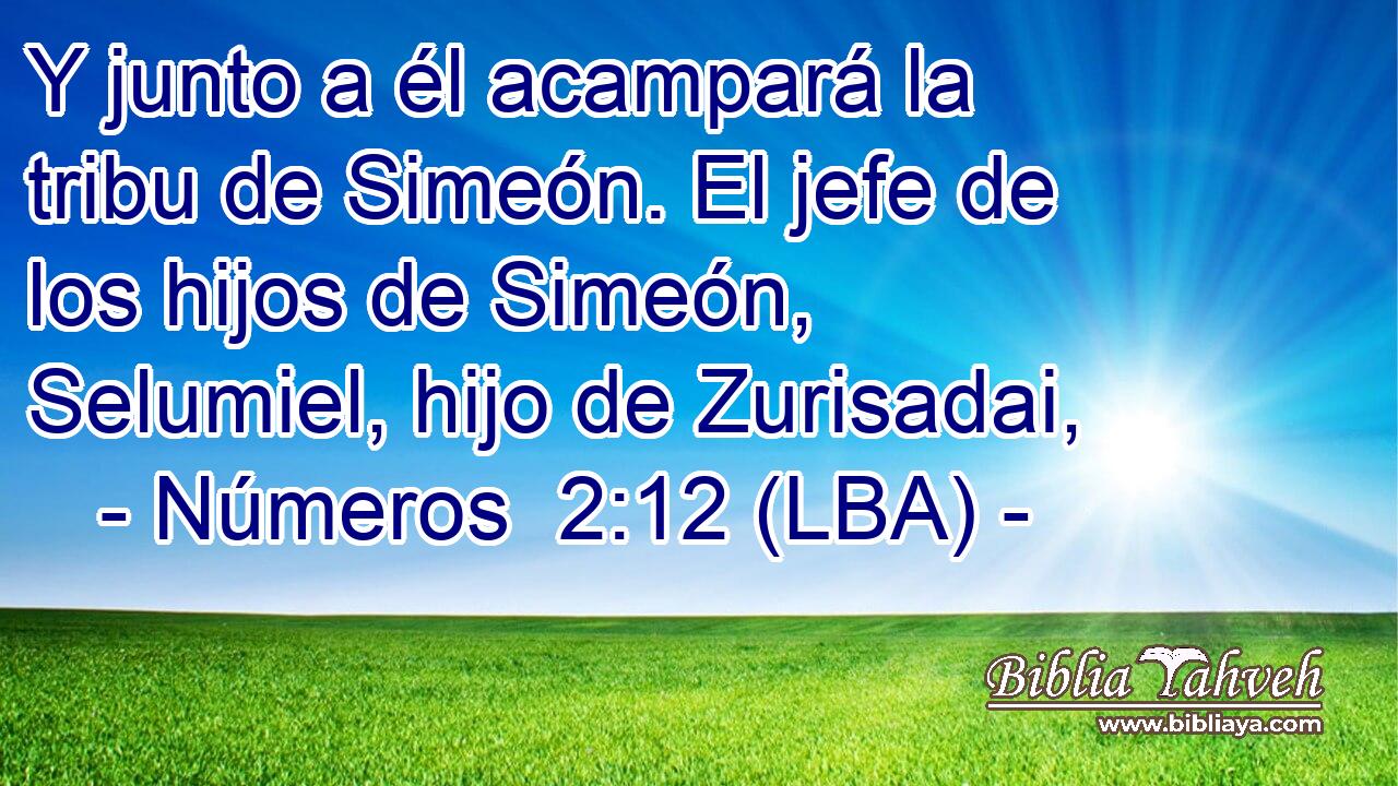 Y junto a él acampará la tribu de Simeón. El jefe de los hijos de Simeón, Selumiel, hijo de Zurisadai,