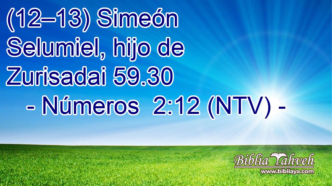 (12–13) Simeón Selumiel, hijo de Zurisadai 59.30