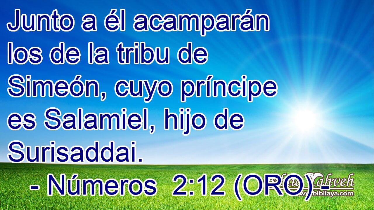  Junto a él acamparán los de la tribu de Simeón, cuyo príncipe es Salamiel, hijo de Surisaddai. 