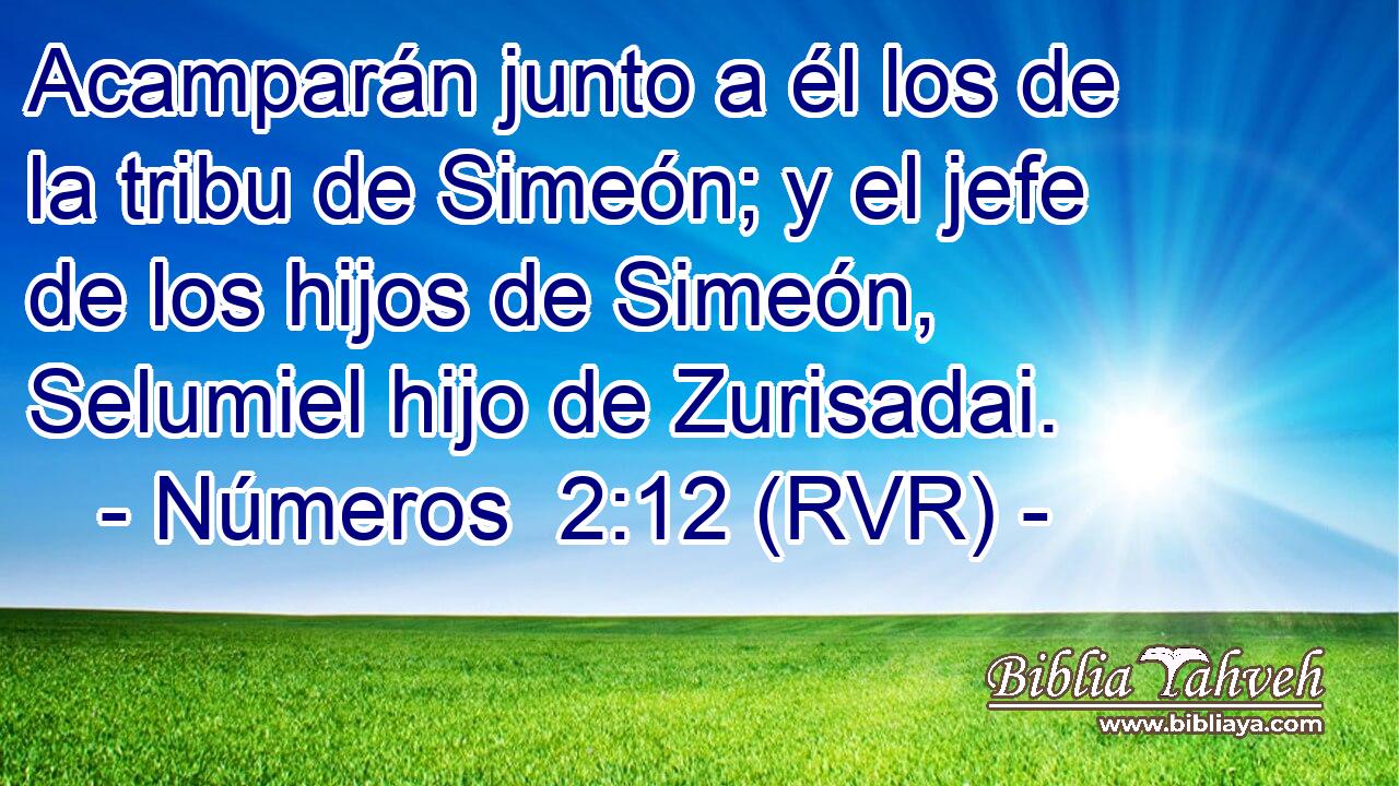 Acamparán junto a él los de la tribu de Simeón; y el jefe de los hijos de Simeón, Selumiel hijo de Zurisadai.