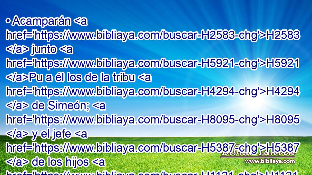 • Acamparán H2583  junto H5921 Pu a él los de la tribu H4294  de Simeón; H8095  y el jefe H5387  de los hijos H1121  de Simeón, H8095  Selumiel H8017  hijo H1121  de Zurisadai. H6701  