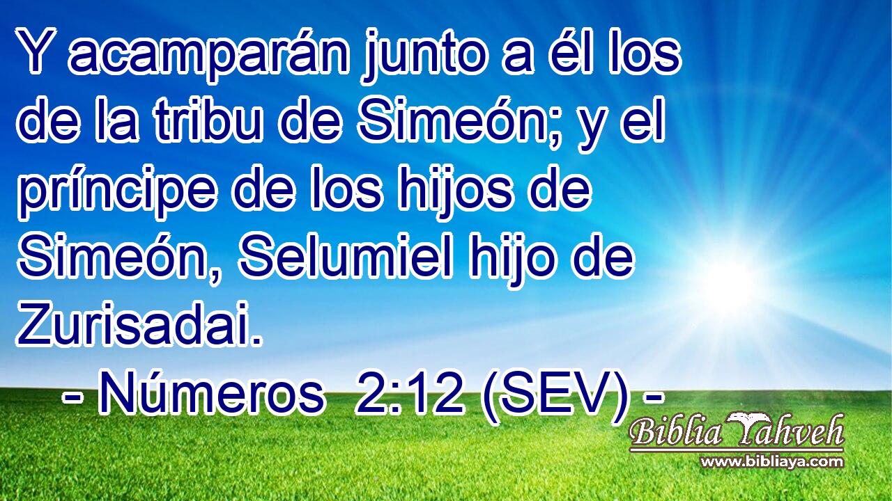 Y acamparán junto a él los de la tribu de Simeón; y el príncipe de los hijos de Simeón, Selumiel hijo de Zurisadai.