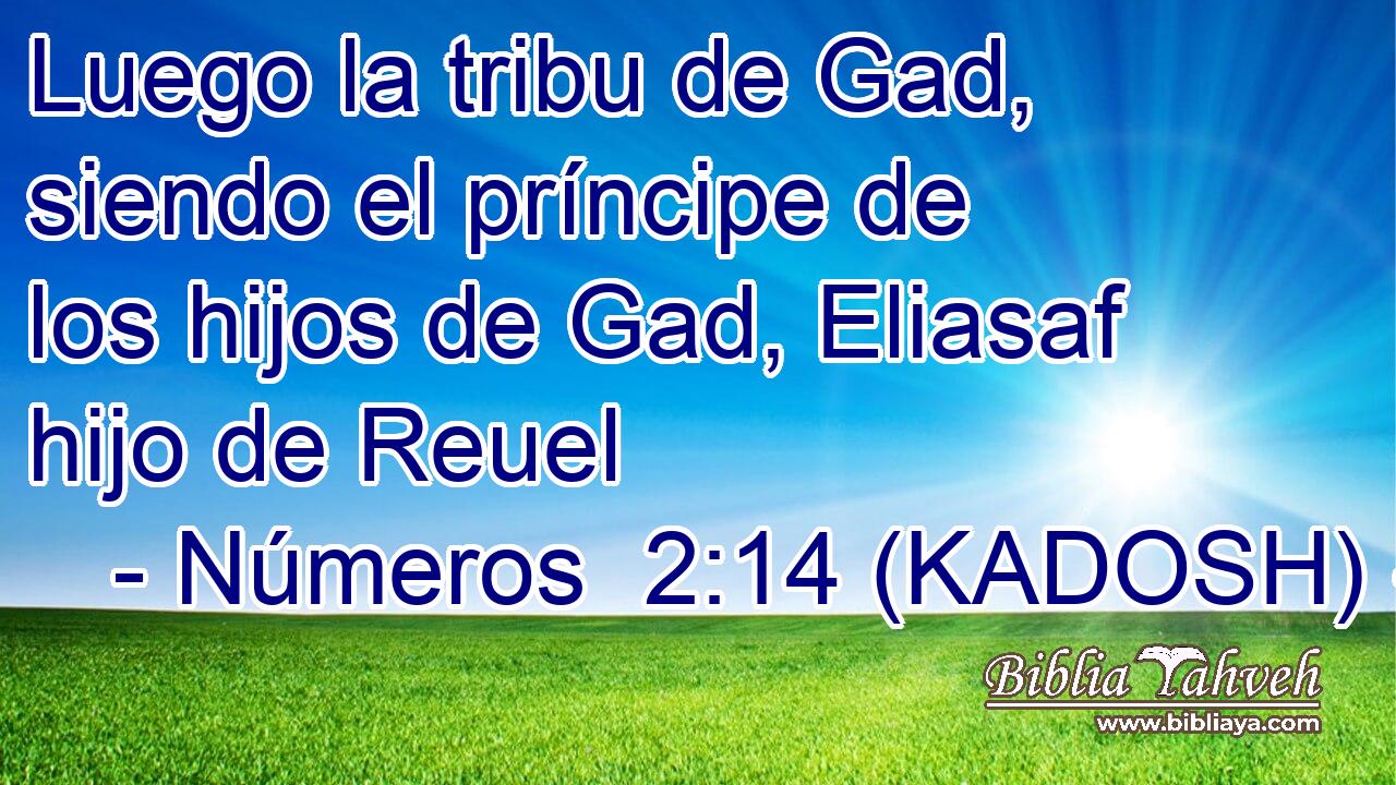  Luego la tribu de Gad, siendo el príncipe de los hijos de Gad, Eliasaf hijo de Reuel