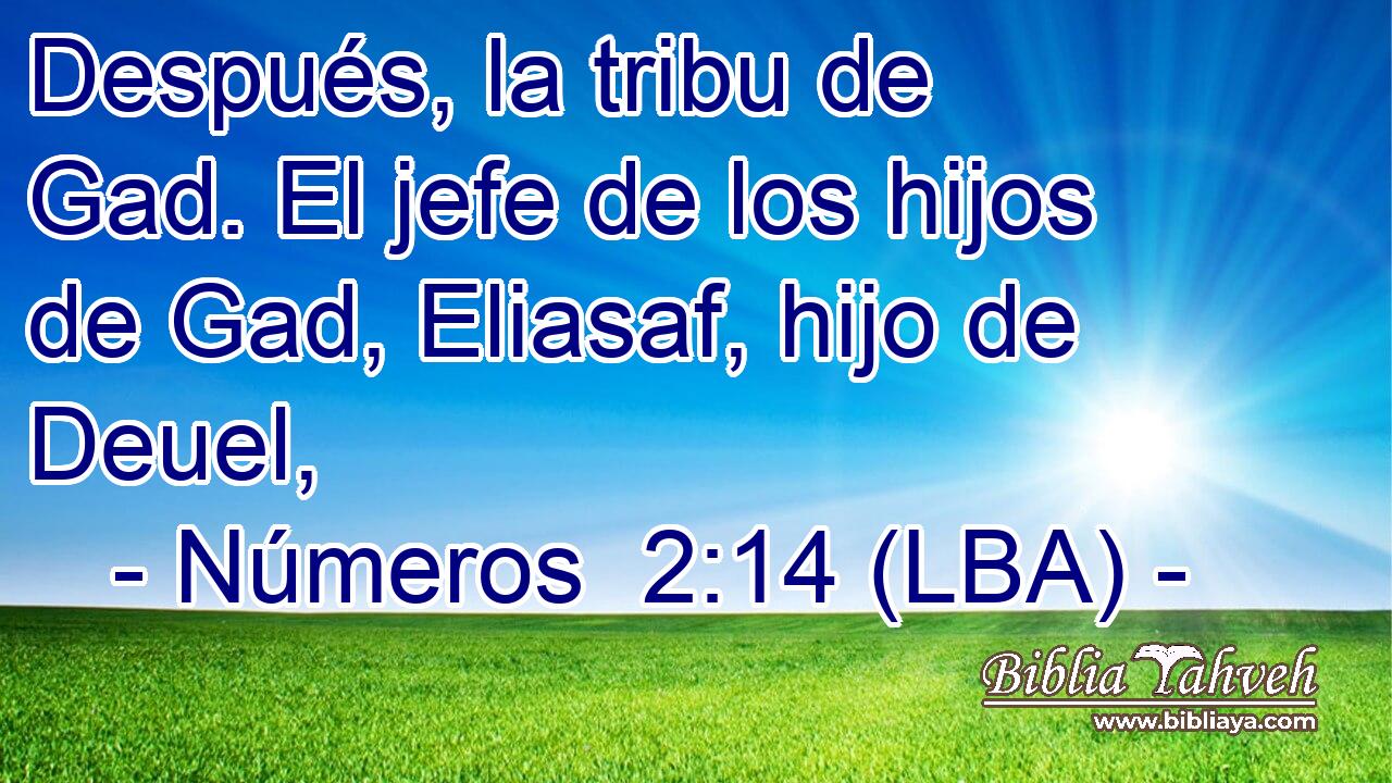 Después, la tribu de Gad. El jefe de los hijos de Gad, Eliasaf, hijo de Deuel,