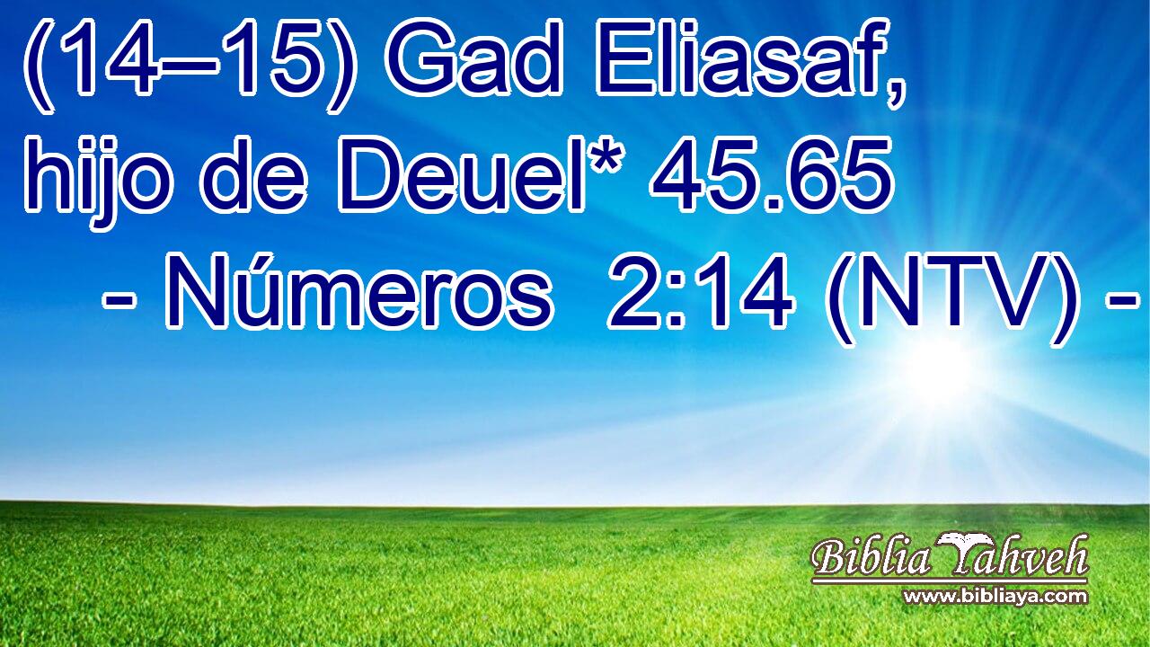 (14–15) Gad Eliasaf, hijo de Deuel* 45.65