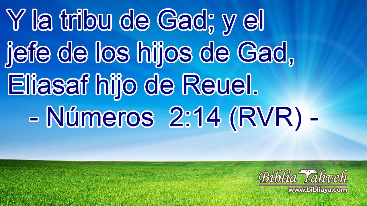 Y la tribu de Gad; y el jefe de los hijos de Gad, Eliasaf hijo de Reuel.