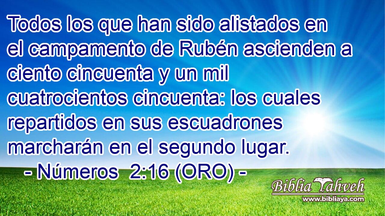  Todos los que han sido alistados en el campamento de Rubén ascienden a ciento cincuenta y un mil cuatrocientos cincuenta: los cuales repartidos en sus escuadrones marcharán en el segundo lugar. 