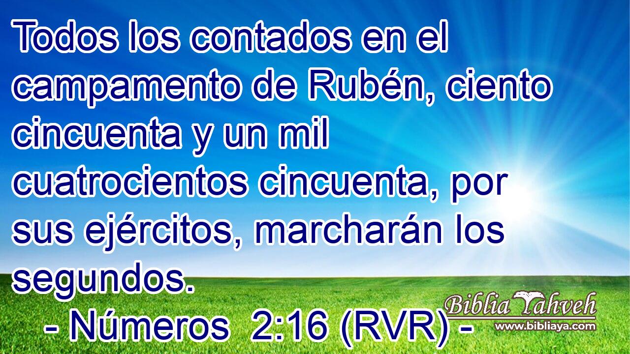 Todos los contados en el campamento de Rubén, ciento cincuenta y un mil cuatrocientos cincuenta, por sus ejércitos, marcharán los segundos.