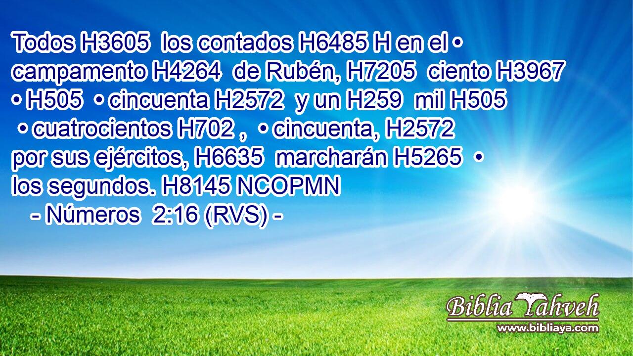 Todos H3605  los contados H6485 H en el • campamento H4264  de Rubén, H7205  ciento H3967  • H505  • cincuenta H2572  y un H259  mil H505  • cuatrocientos H702 ,  • cincuenta, H2572  por sus ejércitos, H6635  marcharán H5265  • los segundos. H8145 NCOPMN 