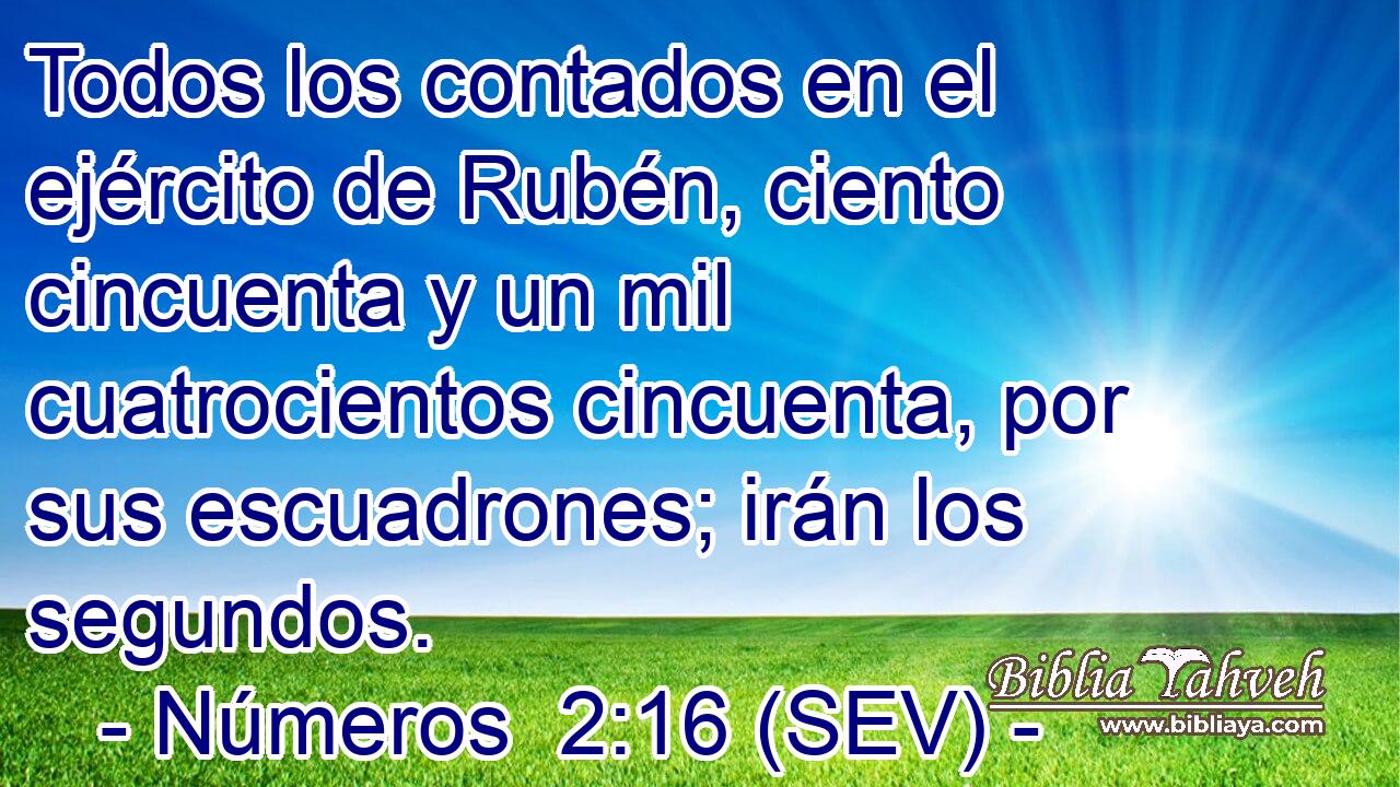 Todos los contados en el ejército de Rubén, ciento cincuenta y un mil cuatrocientos cincuenta, por sus escuadrones; irán los segundos.