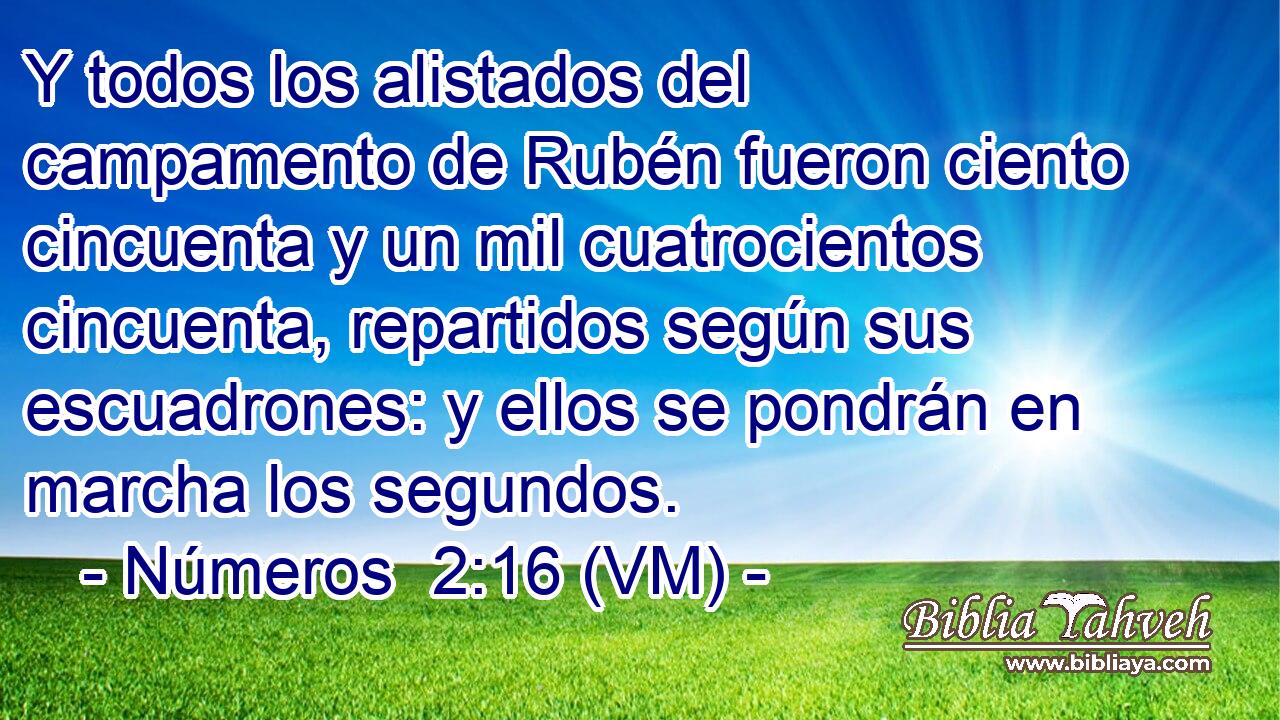  Y todos los alistados del campamento de Rubén fueron ciento cincuenta y un mil cuatrocientos cincuenta, repartidos según sus escuadrones: y ellos se pondrán en marcha los segundos. 