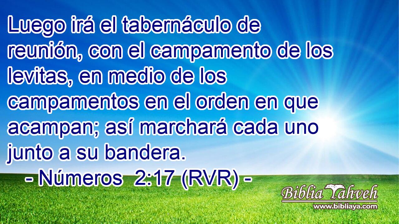 Luego irá el tabernáculo de reunión, con el campamento de los levitas, en medio de los campamentos en el orden en que acampan; así marchará cada uno junto a su bandera.