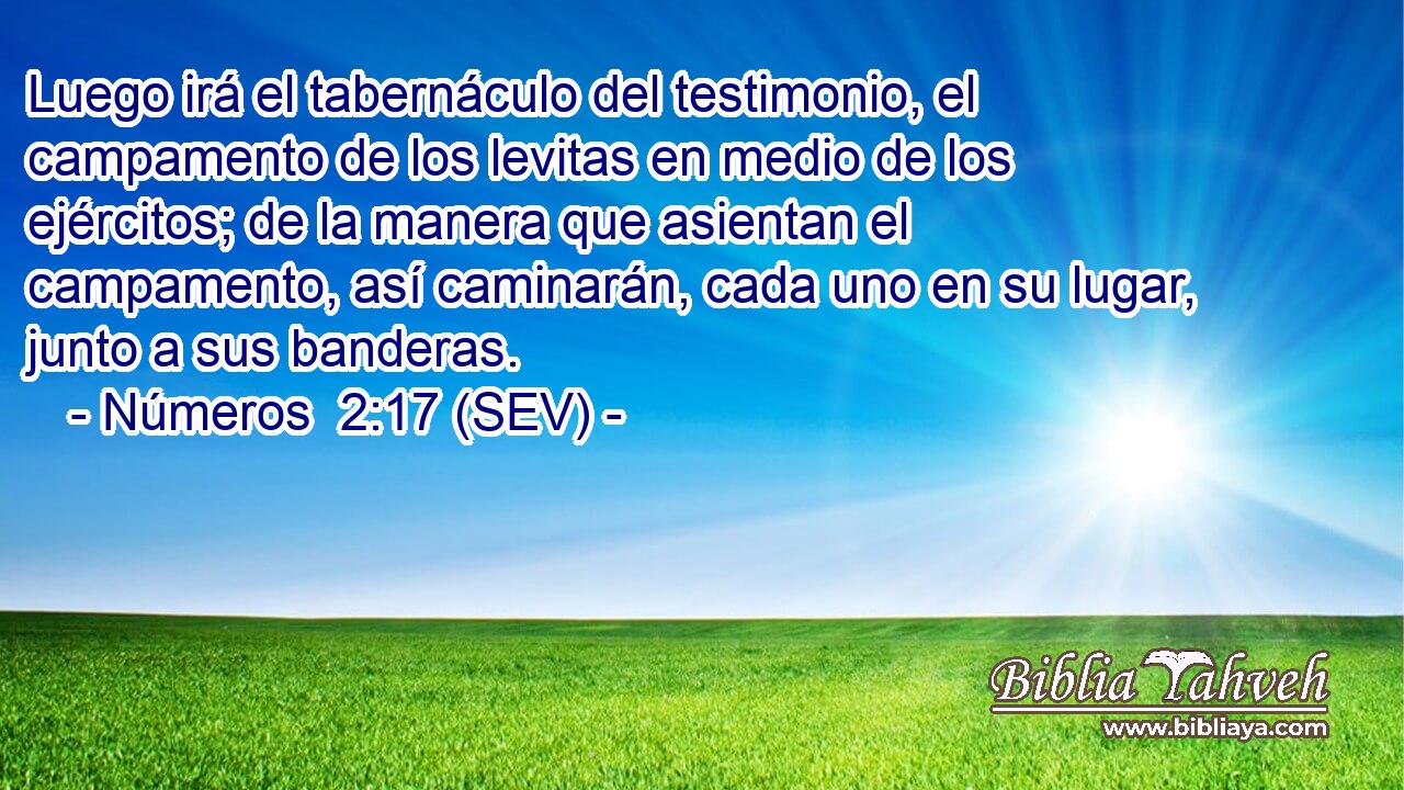 Luego irá el tabernáculo del testimonio, el campamento de los levitas en medio de los ejércitos; de la manera que asientan el campamento, así caminarán, cada uno en su lugar, junto a sus banderas.