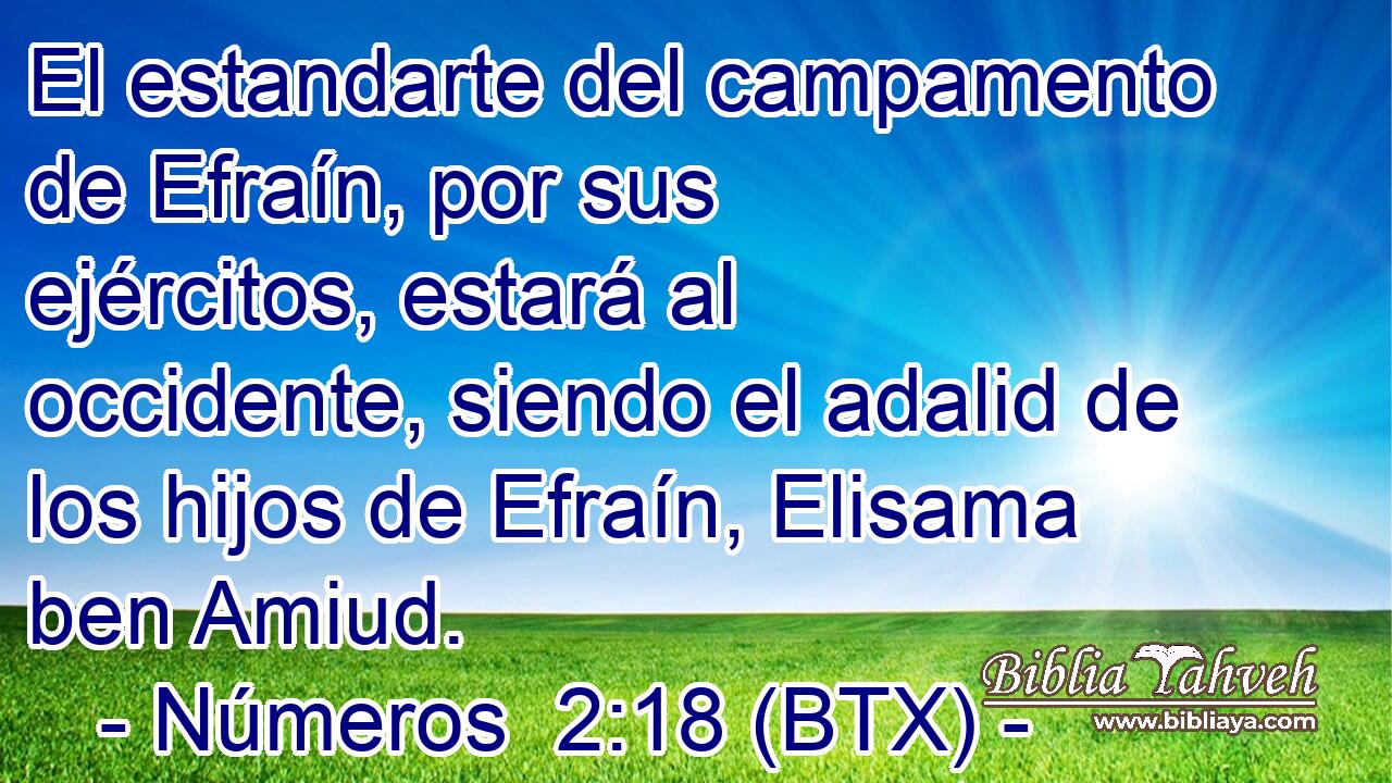 El estandarte del campamento de Efraín, por sus ejércitos, estará al occidente, siendo el adalid de los hijos de Efraín, Elisama ben Amiud.