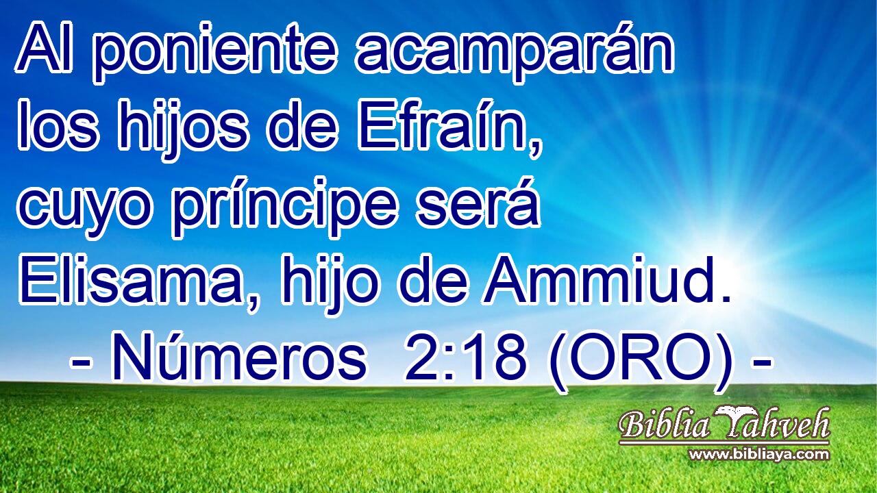  Al poniente acamparán los hijos de Efraín, cuyo príncipe será Elisama, hijo de Ammiud. 