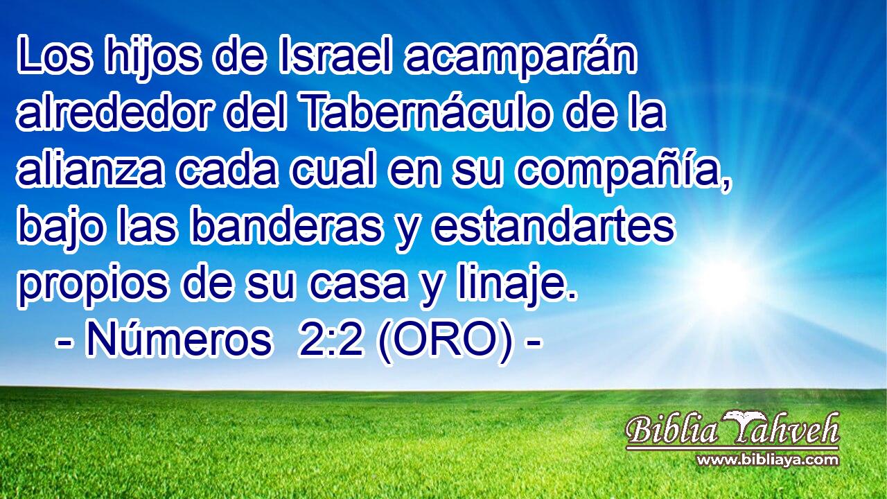 Los hijos de Israel acamparán alrededor del Tabernáculo de la alianza cada cual en su compañía, bajo las banderas y estandartes propios de su casa y linaje. 