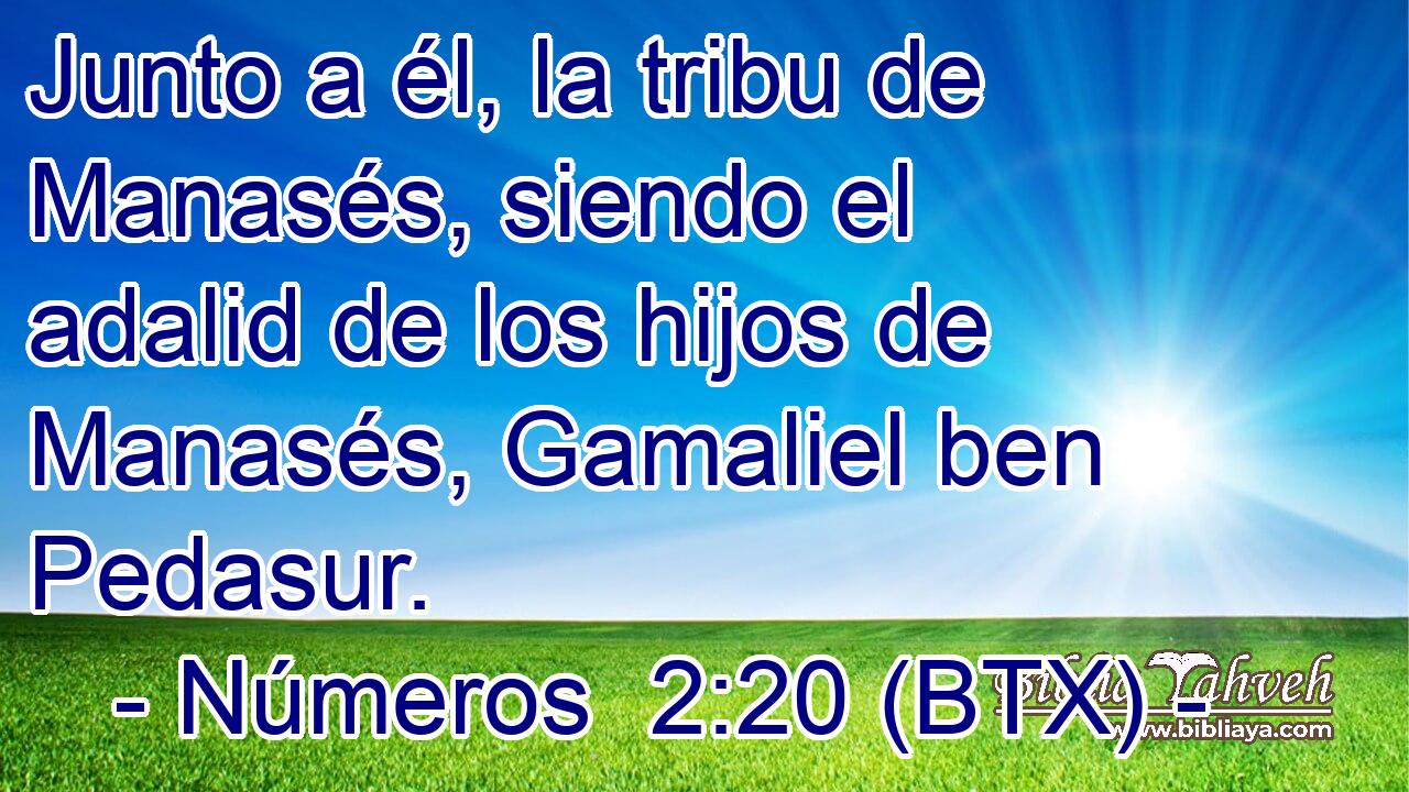 Junto a él, la tribu de Manasés, siendo el adalid de los hijos de Manasés, Gamaliel ben Pedasur.