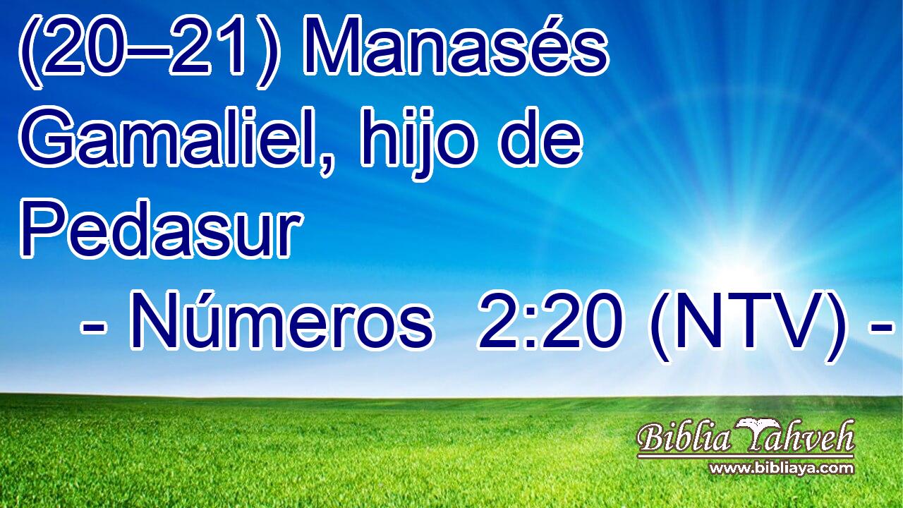 (20–21) Manasés  Gamaliel, hijo de Pedasur 