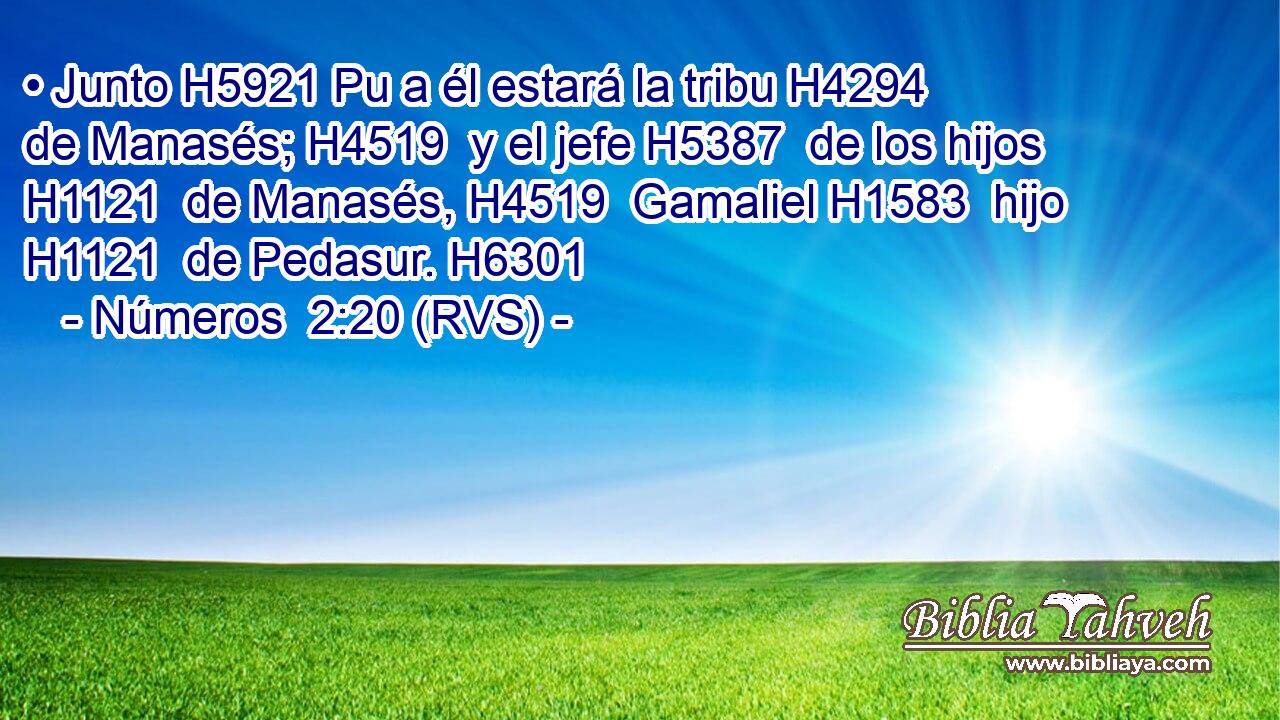 • Junto H5921 Pu a él estará la tribu H4294  de Manasés; H4519  y el jefe H5387  de los hijos H1121  de Manasés, H4519  Gamaliel H1583  hijo H1121  de Pedasur. H6301  