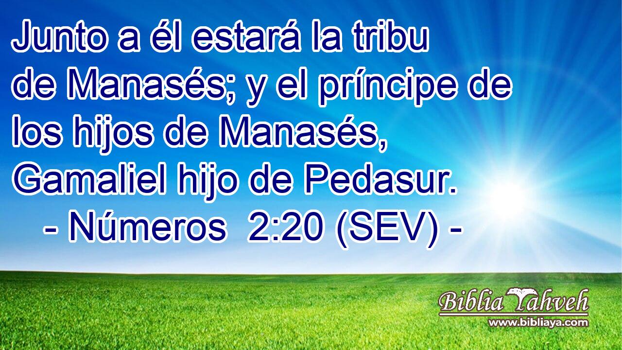 Junto a él estará la tribu de Manasés; y el príncipe de los hijos de Manasés, Gamaliel hijo de Pedasur.