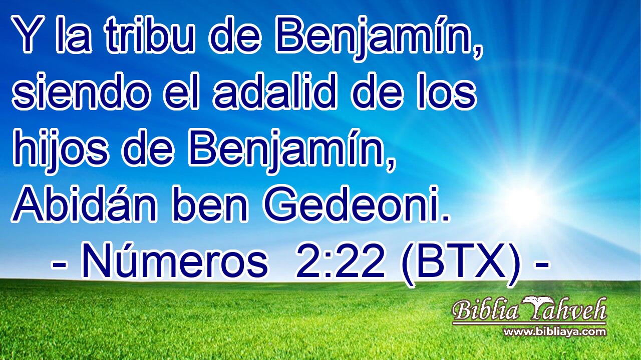 Y la tribu de Benjamín, siendo el adalid de los hijos de Benjamín, Abidán ben Gedeoni.