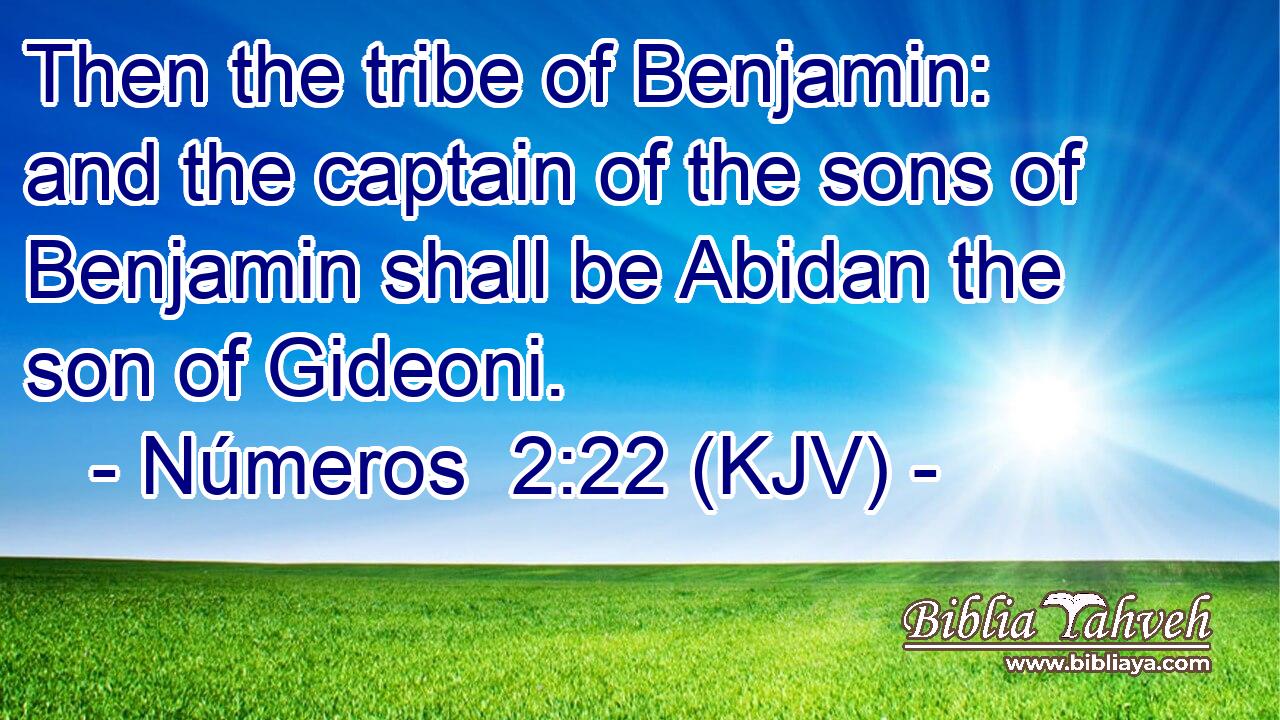 Then the tribe of Benjamin: and the captain of the sons of Benjamin shall be Abidan the son of Gideoni.