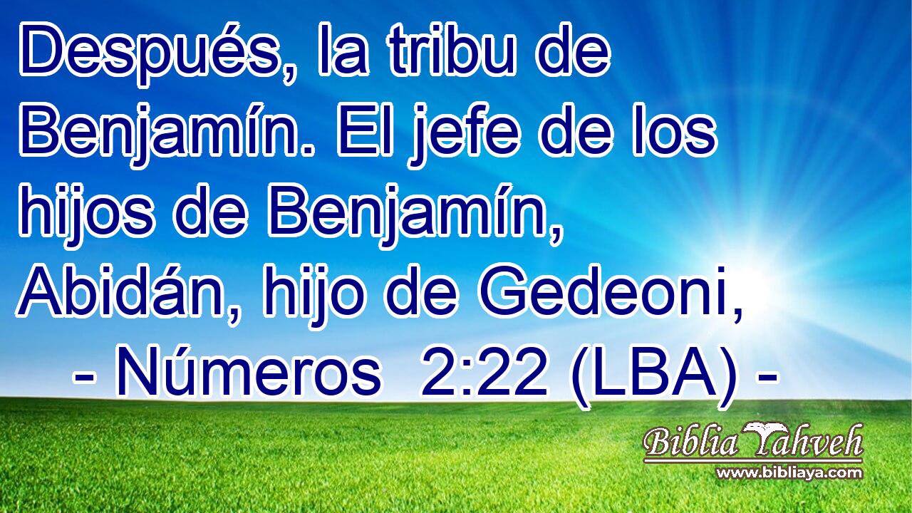 Después, la tribu de Benjamín. El jefe de los hijos de Benjamín, Abidán, hijo de Gedeoni,
