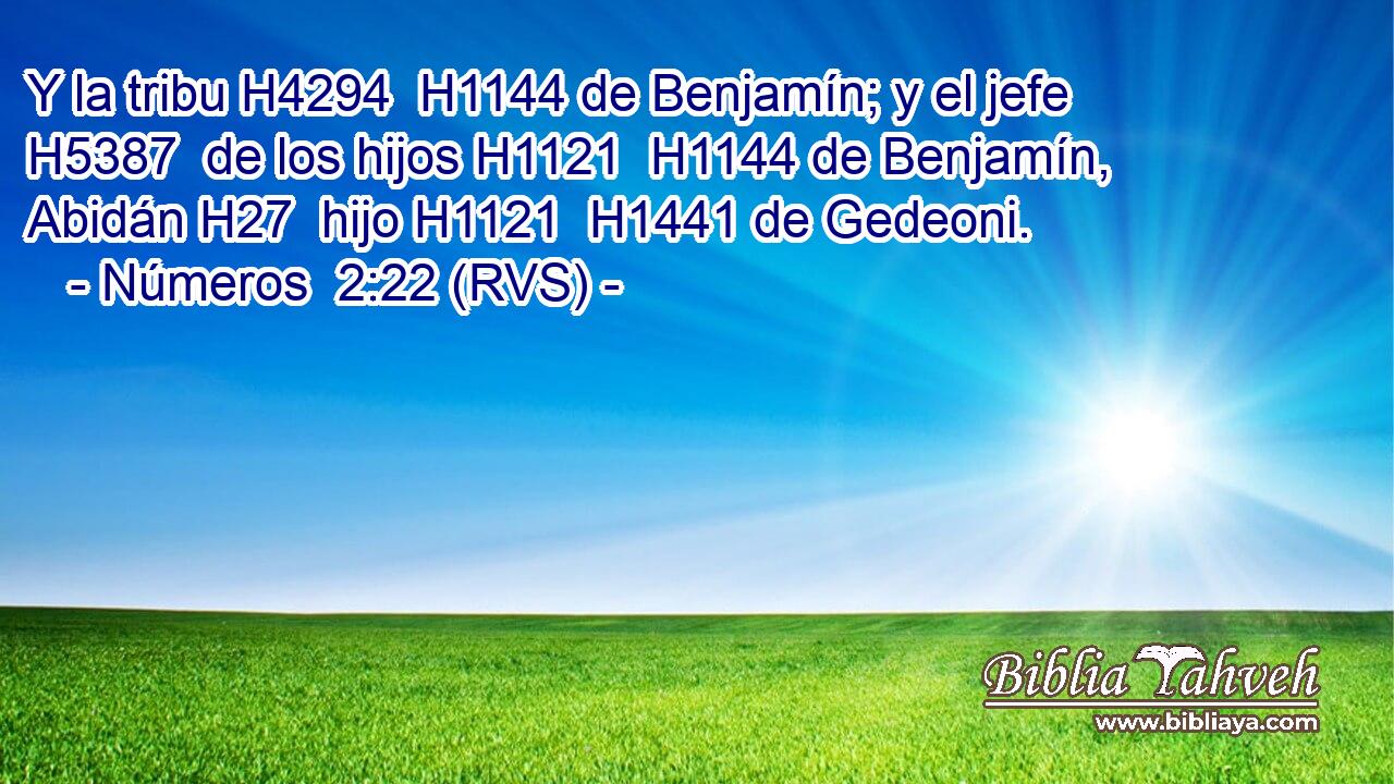 Y la tribu H4294  H1144 de Benjamín; y el jefe H5387  de los hijos H1121  H1144 de Benjamín, Abidán H27  hijo H1121  H1441 de Gedeoni. 